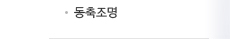 동축조명